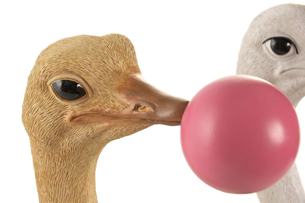 Detalle del rostro de la cabeza de avestruz decorativa con globo de chicle rosa.