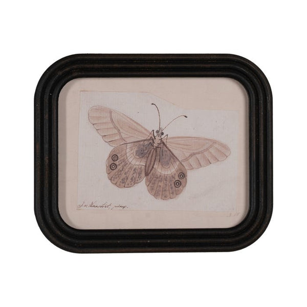 Cuadro mariposa rectangular (modelo 3) - Brocantia