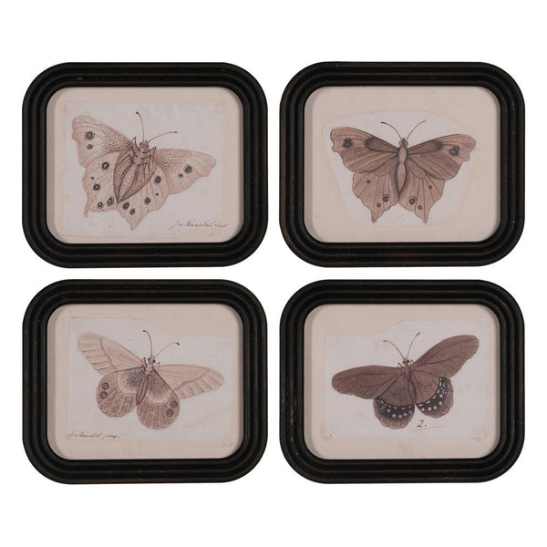 Cuadro mariposa rectangular (modelo 3) - Brocantia