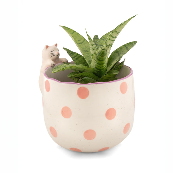 Macetero decorativo de porcelana con gato y planta de interior.