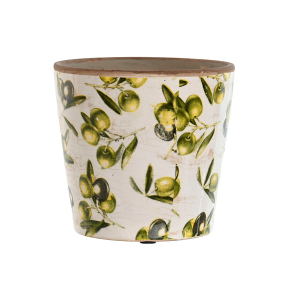 Vaso de oliveiras