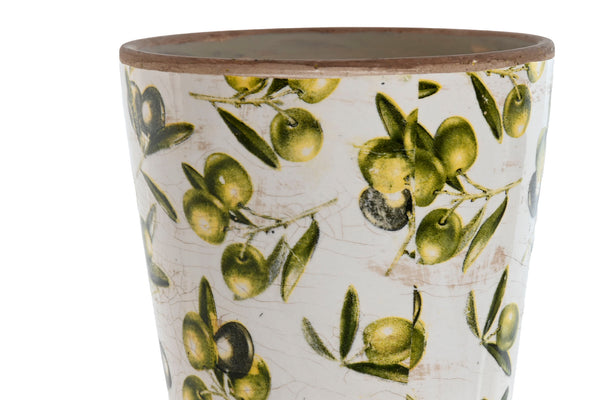 Vaso de oliveiras