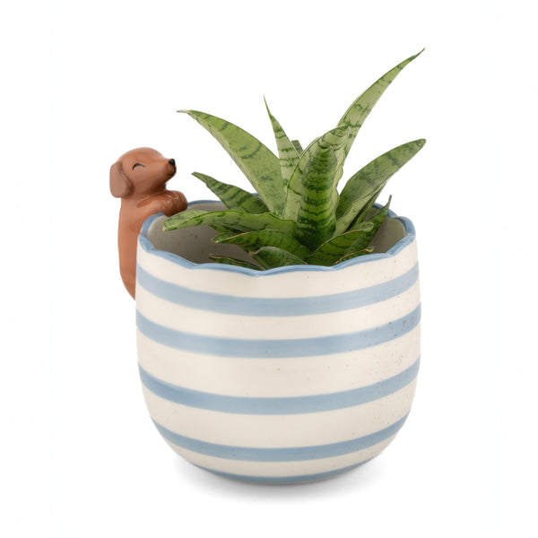 Macetero decorativo de porcelana con planta de interior y figura de perro salchicha.