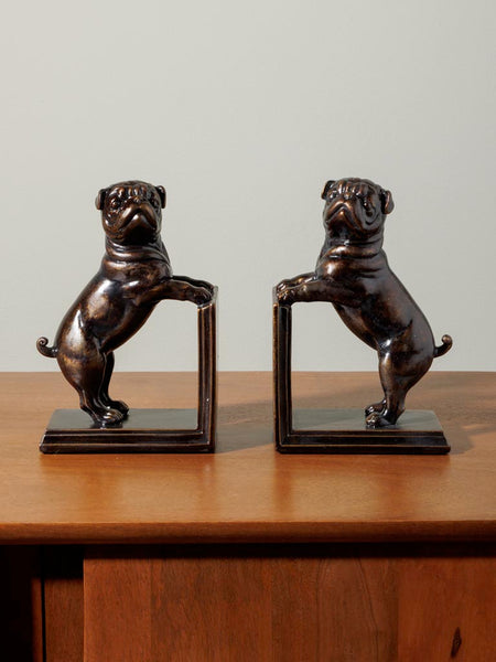 Par de bulldogs sujetando libros en estantería de madera